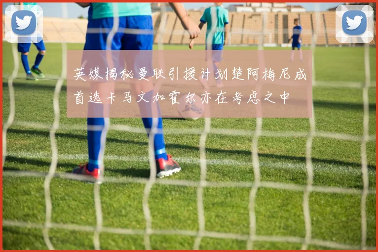 英媒揭秘曼联引援计划楚阿梅尼成首选卡马文加霍尔亦在考虑之中